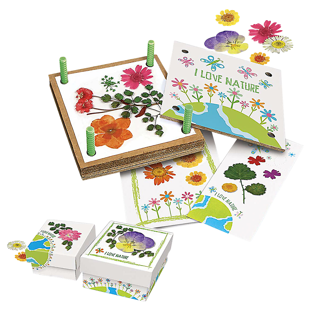 Pressed Flower Art Kit